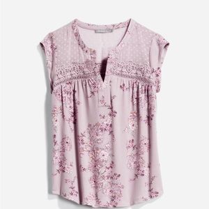 Daniel Rainn detail top